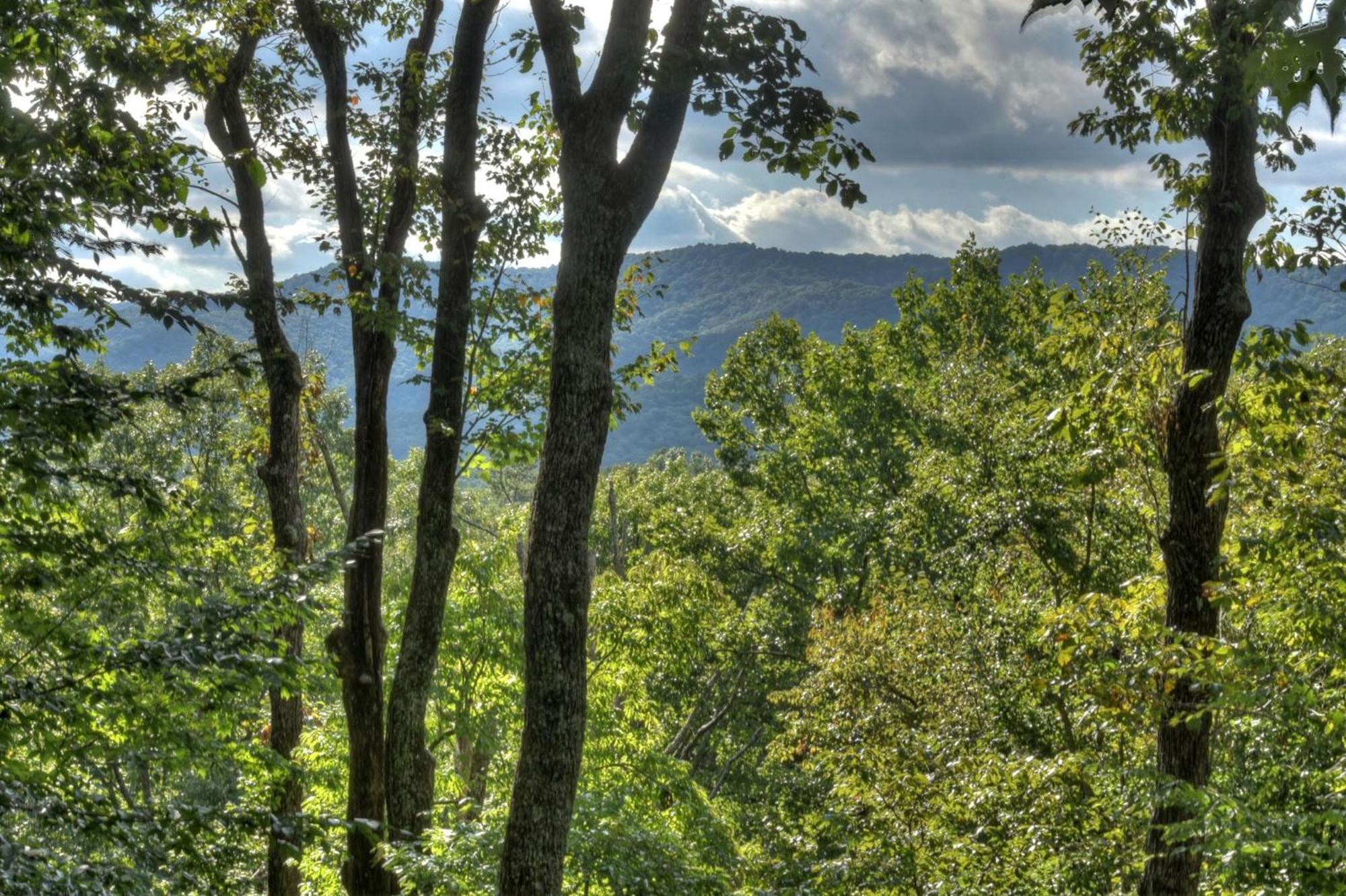 Bearfoot Ridge Wood-Burning Fireplace Cozy Hot Tub Serene Views إليجاي المظهر الخارجي الصورة