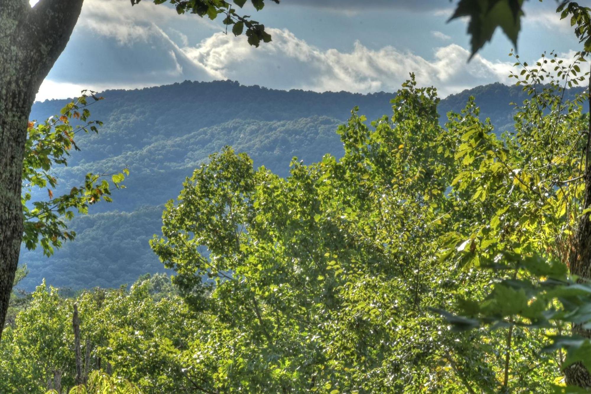 Bearfoot Ridge Wood-Burning Fireplace Cozy Hot Tub Serene Views إليجاي المظهر الخارجي الصورة